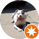 Chris profile picture